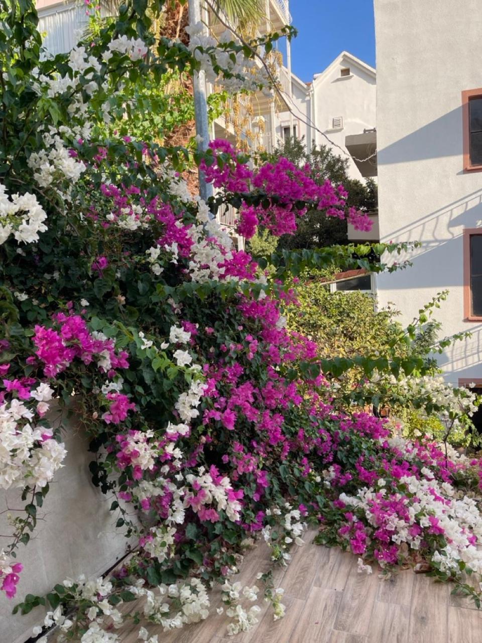 Paydos Pansiyon Kaş Exterior foto